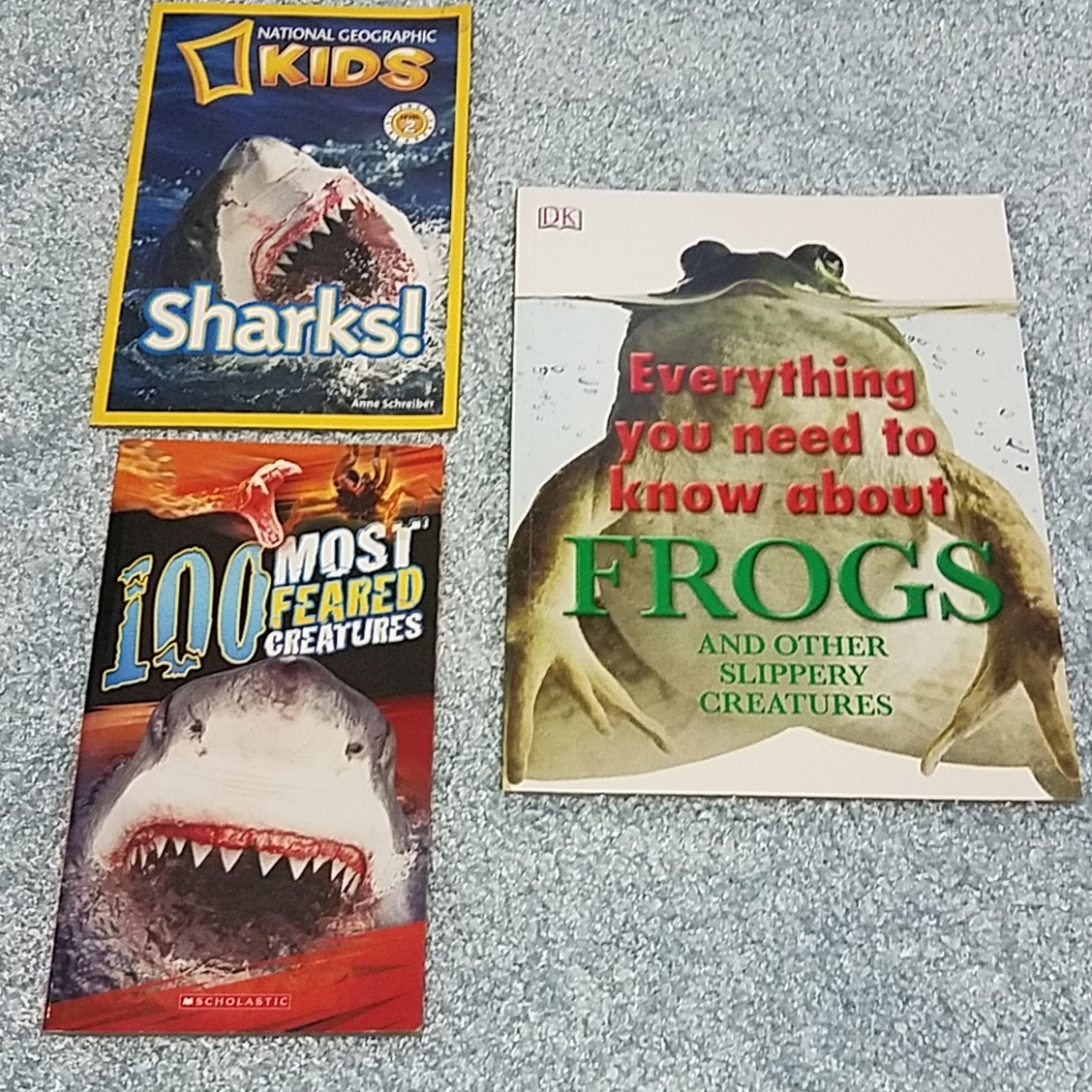 Book bundle
